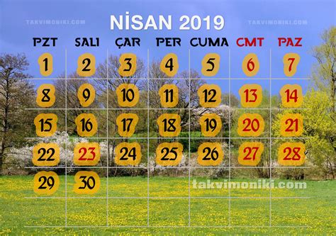 yay nisan 2019
